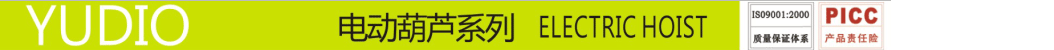 宇雕DHP環鏈電(diàn)動葫蘆